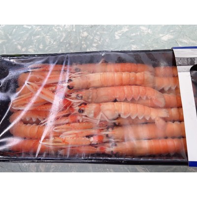 Scampi (Langoustine) 16/20  3x1kg